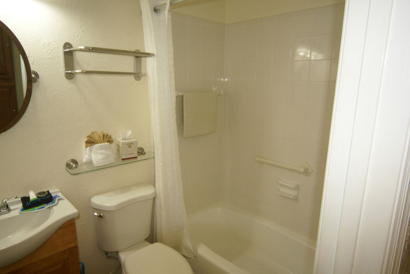 Room 102 bath, view 1