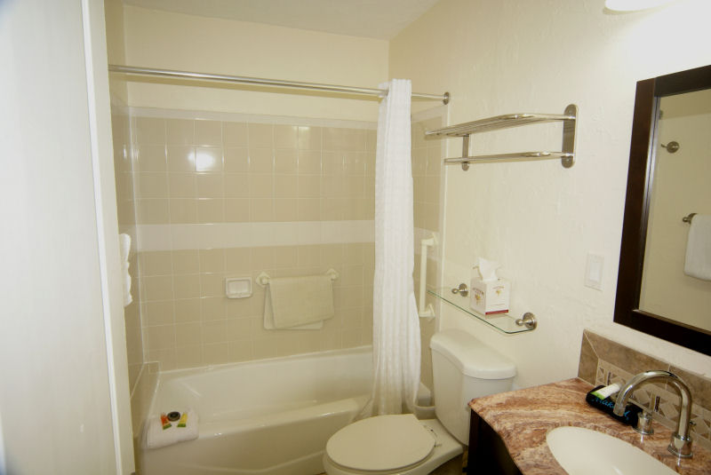 Room 201 bath, view 1
