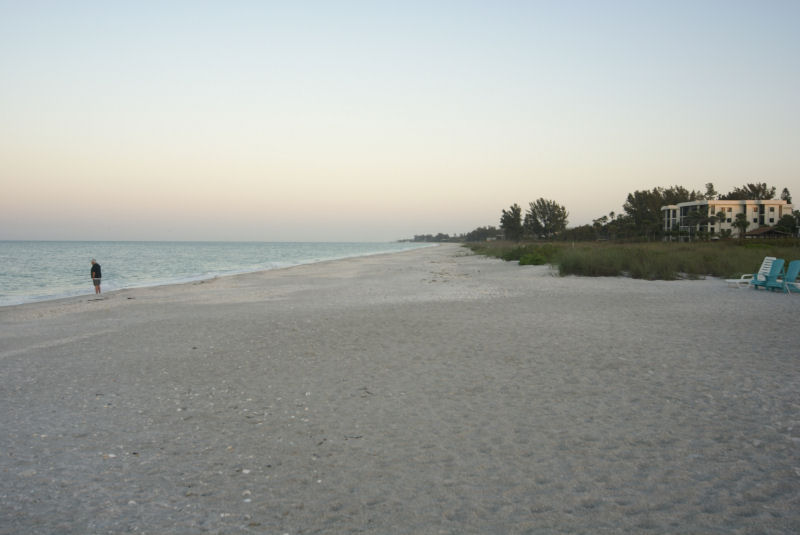 Beach looking North