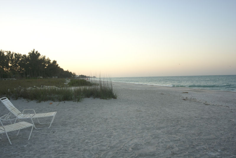 Beach looking South